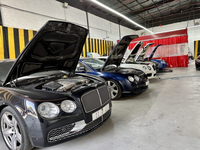Luxury car maintenance